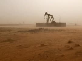 Texas oil pump