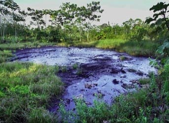 Ecuador vs Chevron Case Gets Down and Dirty
